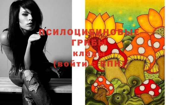 дмт Белоозёрский