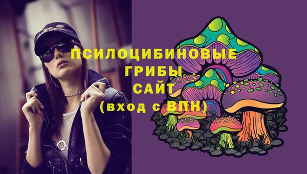 амф Белокуриха