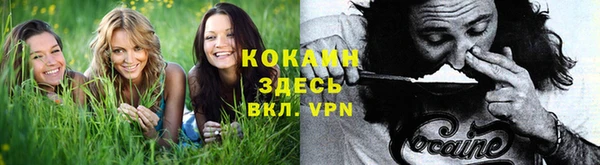 амф Белокуриха