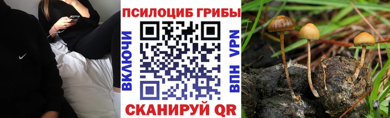 Псилоцибиновые грибы GOLDEN TEACHER  это какой сайт  Плёс 