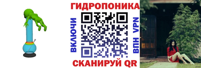 Бошки Шишки план  купить  цена  Плёс 